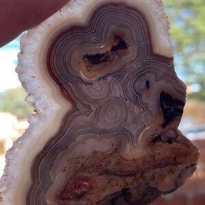 Laguna Agate Slab crazy lace surrounded by a quartz layer super rare that it loo